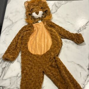 Very warm, adorable Lion costume 4-5T. My son wore for 2 hrs. great condition